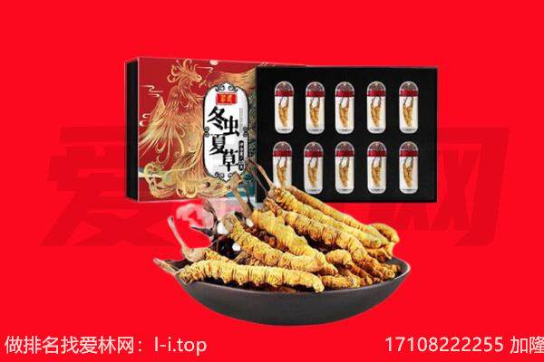 哈尔滨香坊回收虫草.jpg